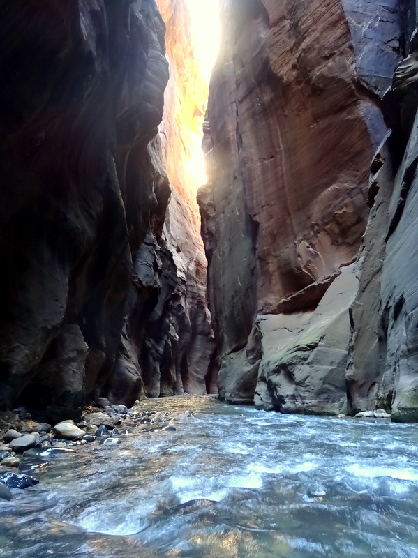 Zion Narrows Hike