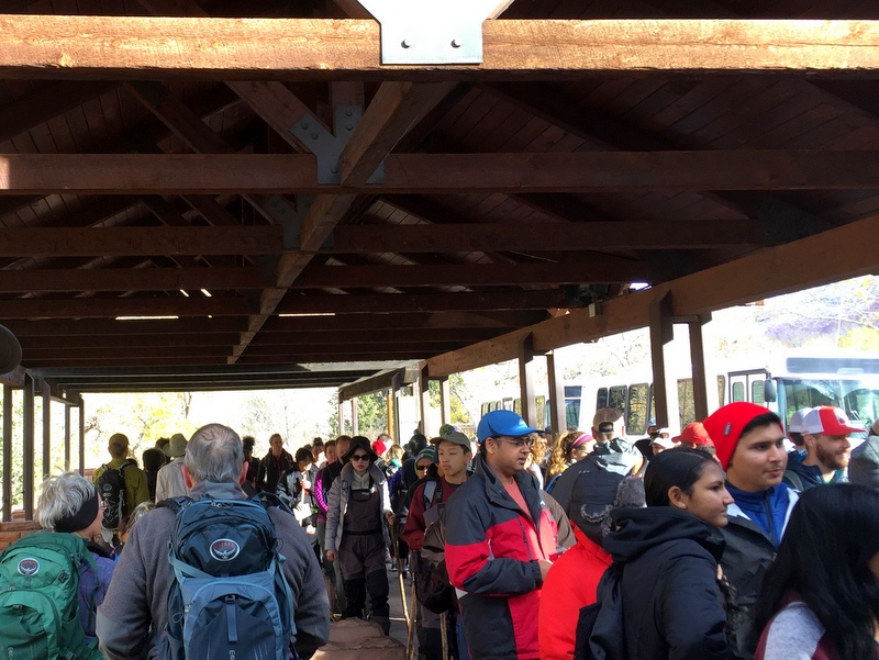 Zion National Park Shuttle