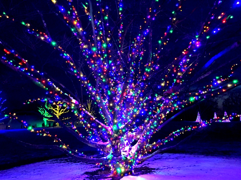 Longwood Gardens