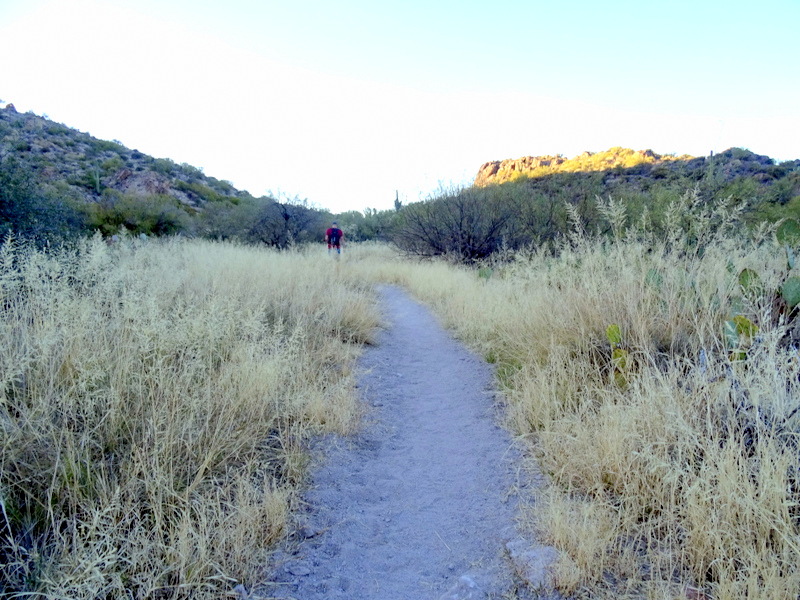 Afternoon Hike