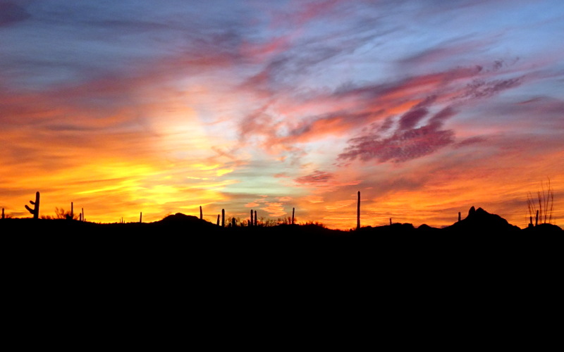 Ajo, AZ