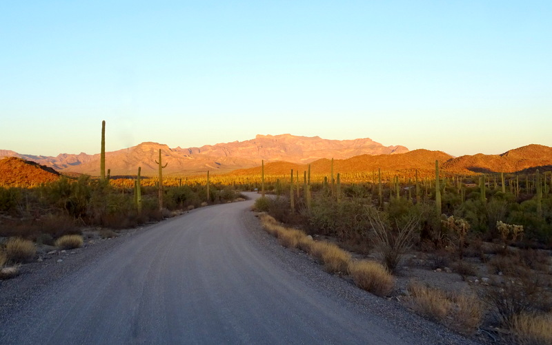 Organ Pipe Cactus National Monument