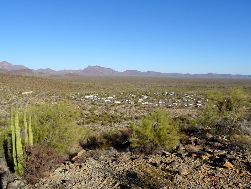 Organ Pipe Cactus National Monument