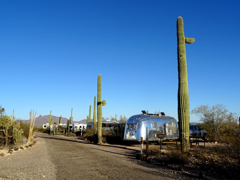 Organ Pipe Cactus National Monument