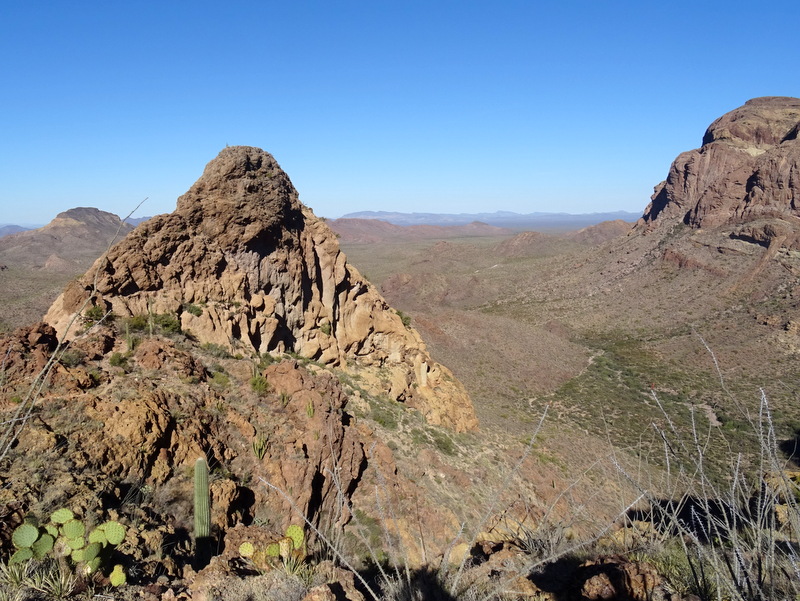 Organ Pipe Cactus National Monument