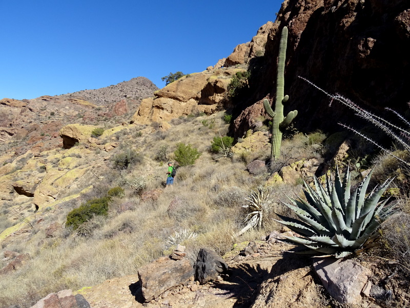 Ajo Mountain, Arizona