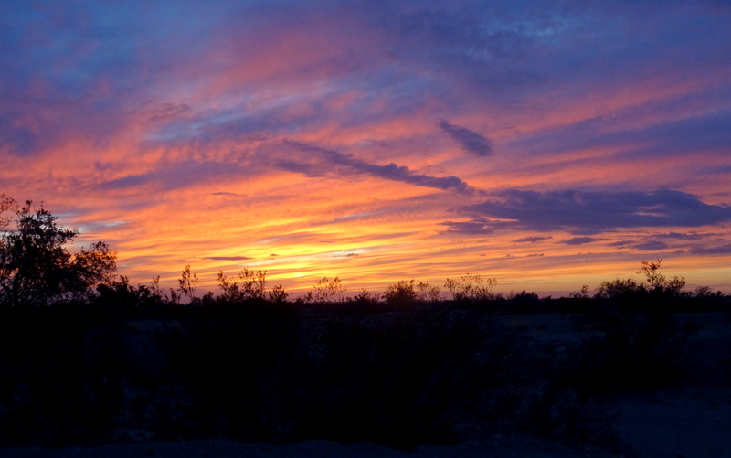 Desert Sunset