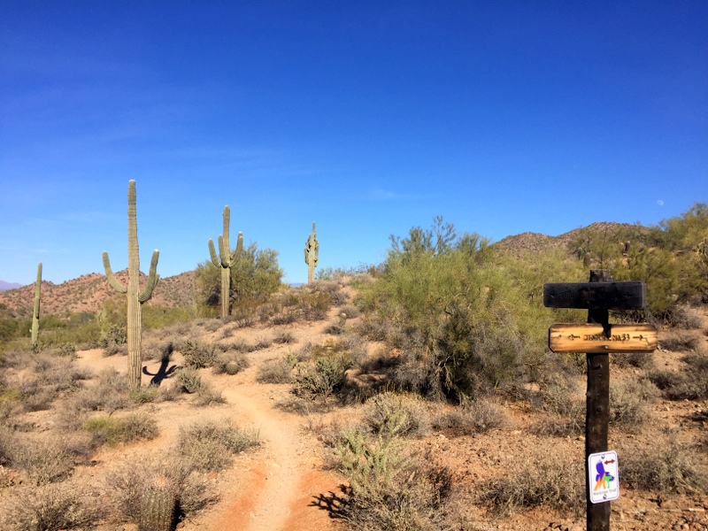 Mountain Biking Pheonix