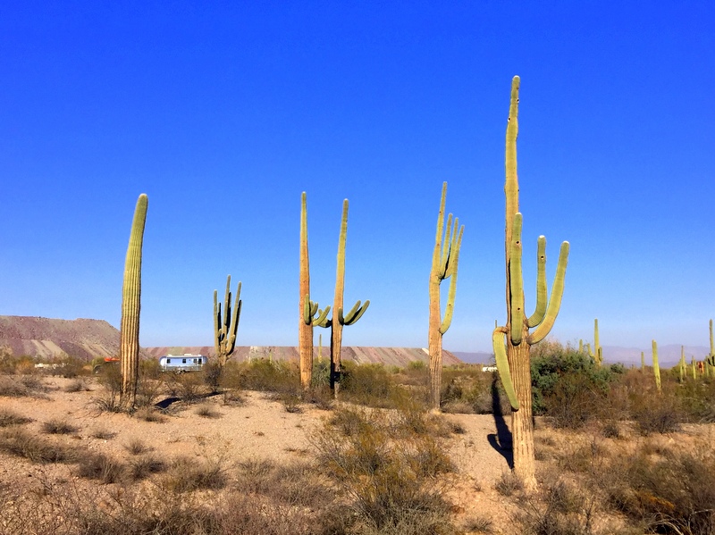 Ajo, AZ