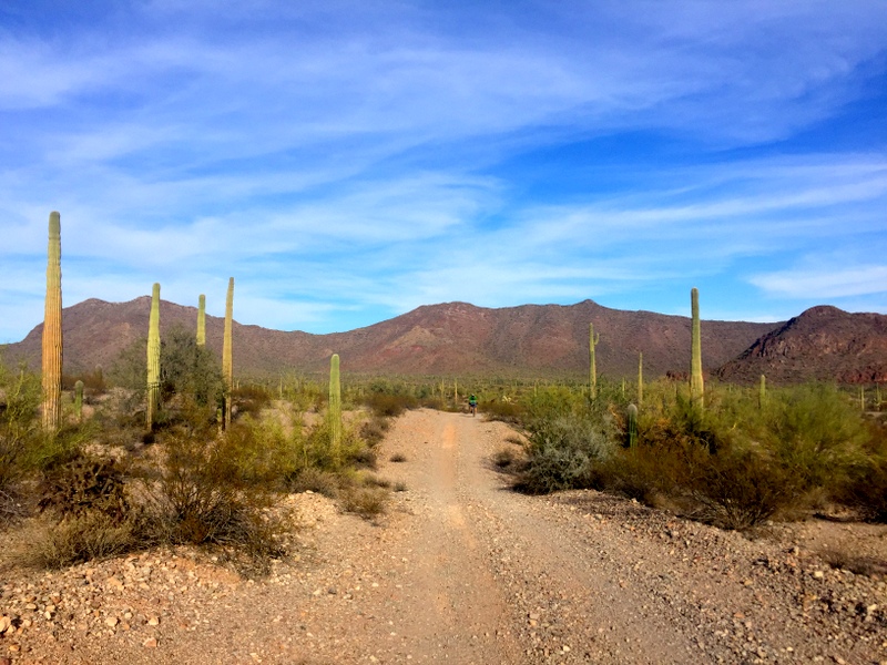 Ajo, AZ