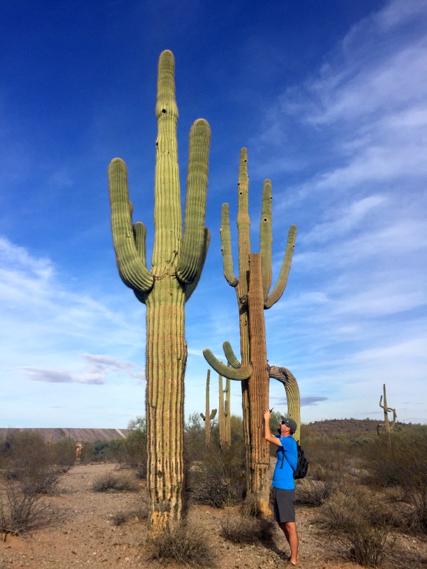 Ajo, AZ