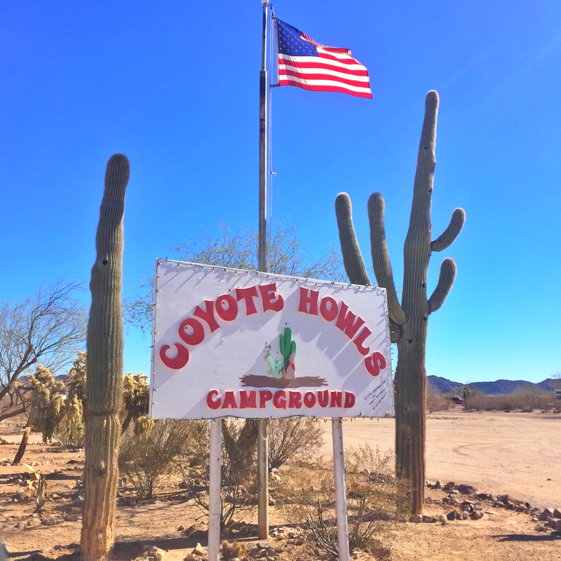 Coyote Howls Campground - Why, AZ