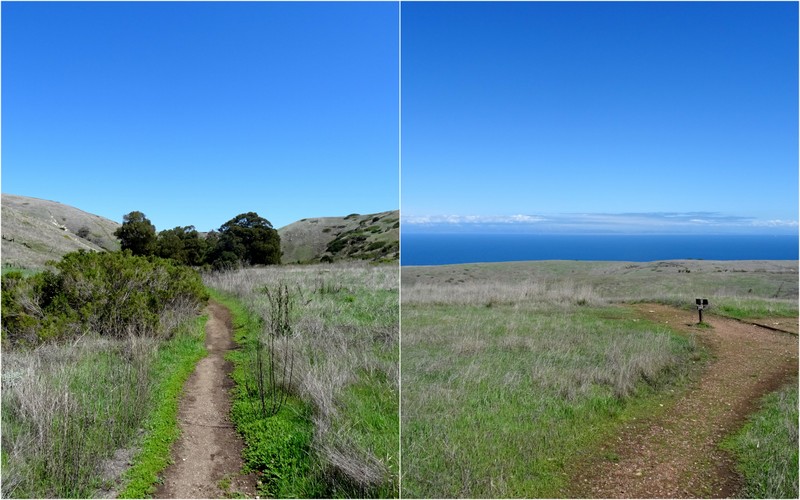 Channel Islands National Park