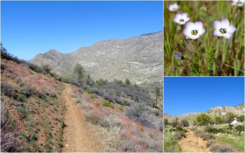 Powers Peak Trail, CA