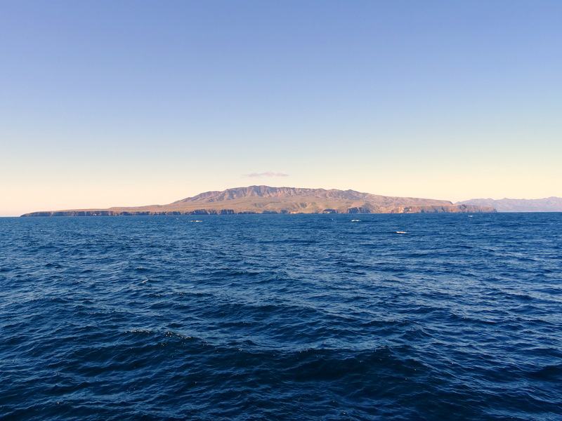 Island Packers Ferry