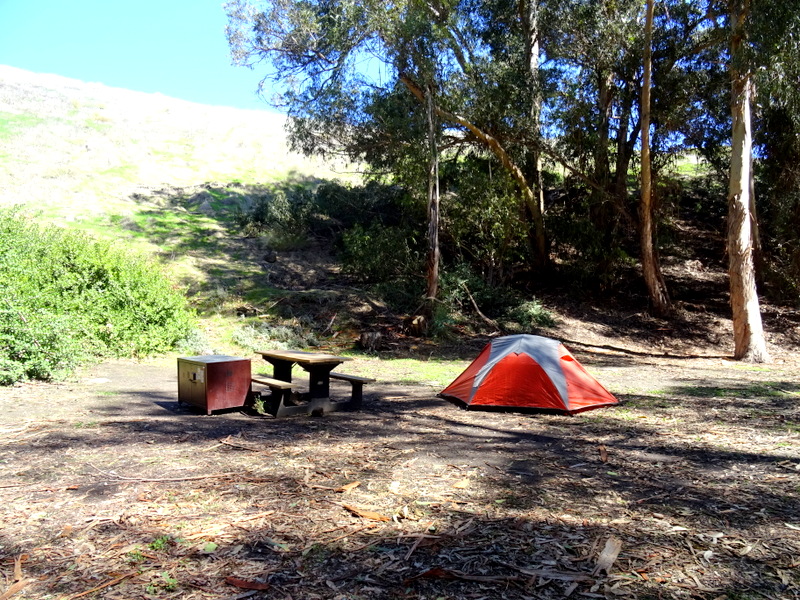 Channel Islands National Park