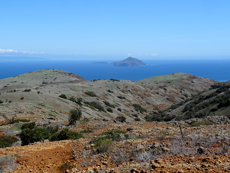 Channel Islands National Park