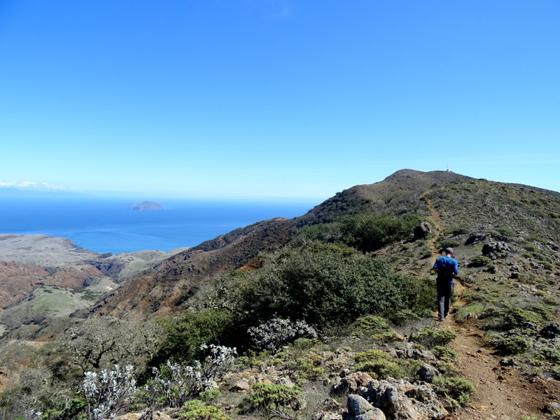 Channel Islands National Park