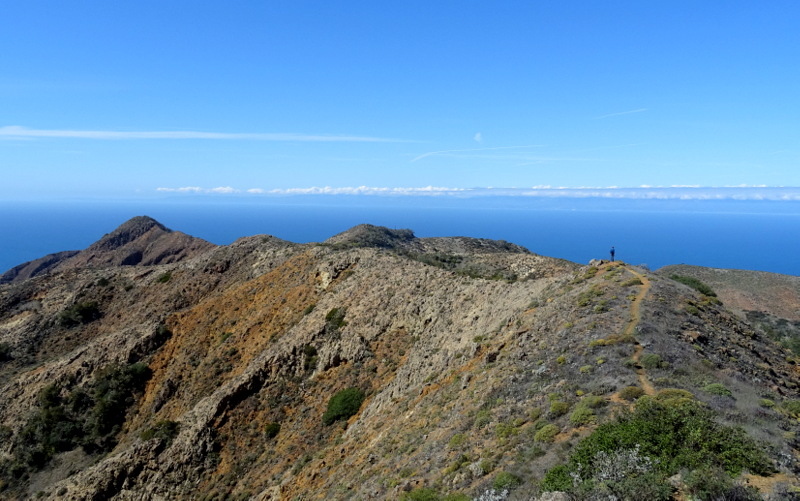 Channel Islands National Park