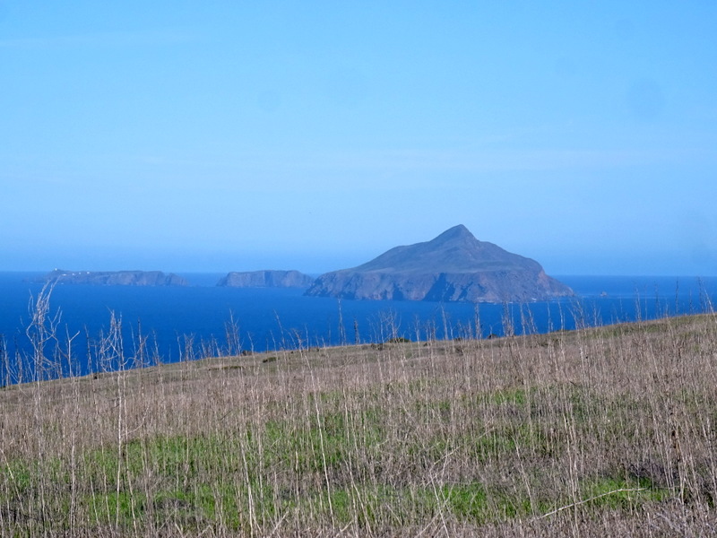 Channel Islands National Park