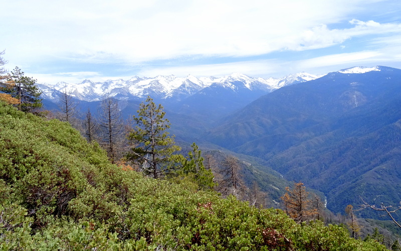 Sequoia National Park