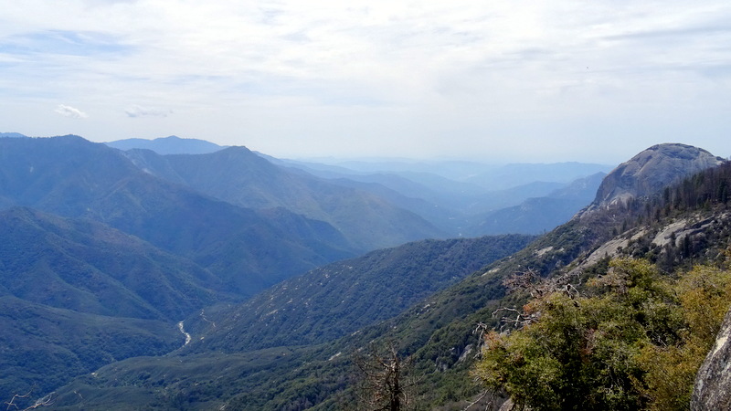 Sequoia National Park