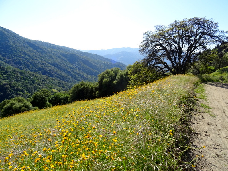 Three Rivers, CA hiking