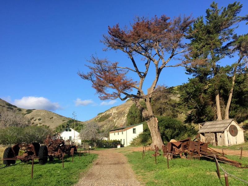 Channel Islands National Park