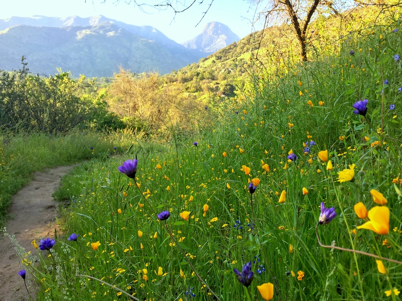 Three Rivers, CA hiking