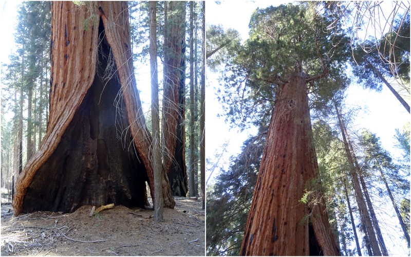 Kings Canyon National Park