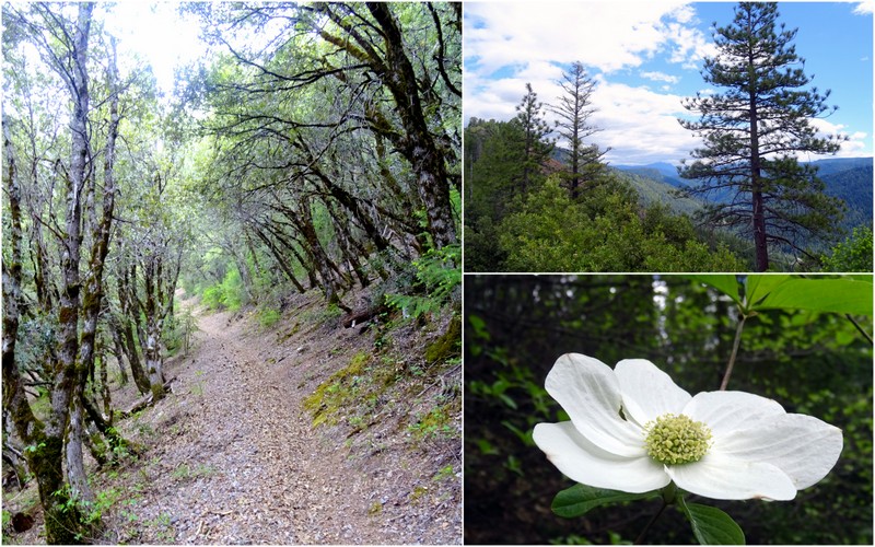 Halls Ranch Trail