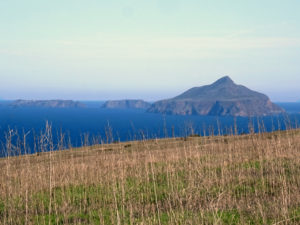 Channel Islands National Park