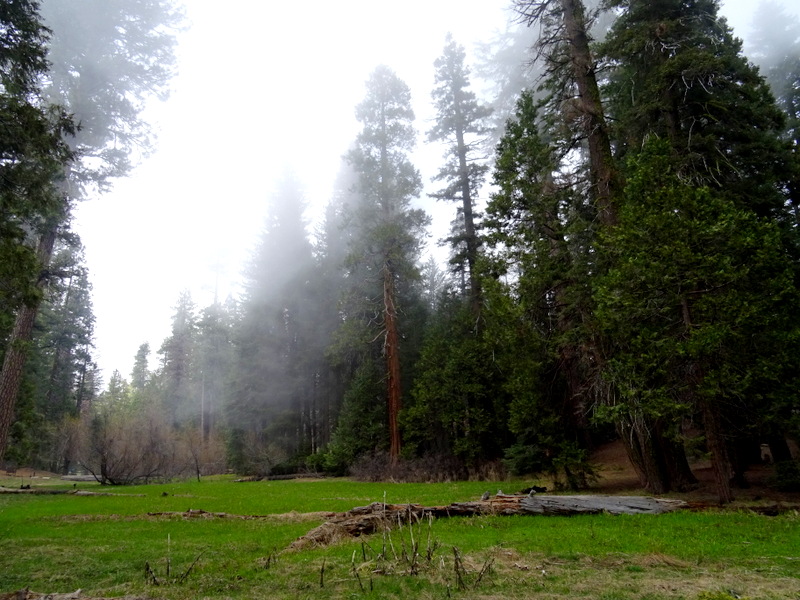 Kings Canyon National Park