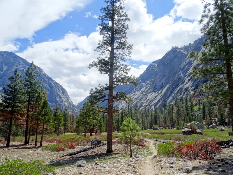 Kings Canyon National Park