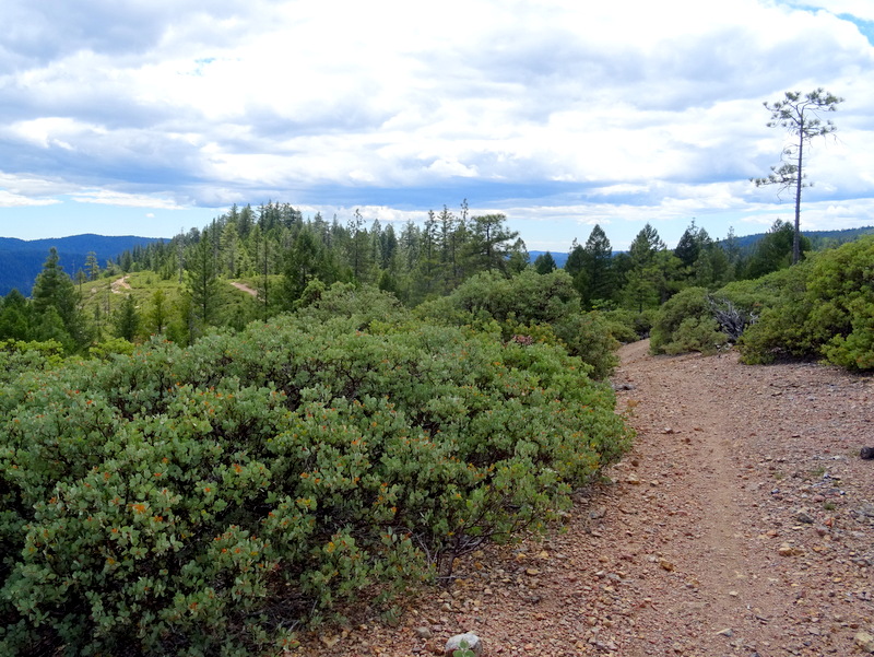 Halls Ranch Trail