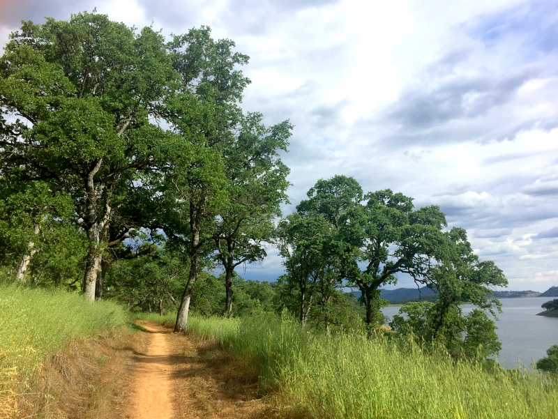 New Melones Lake