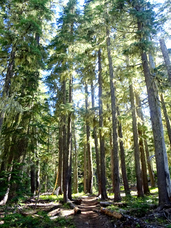 Cascade Lakes Scenic Byway