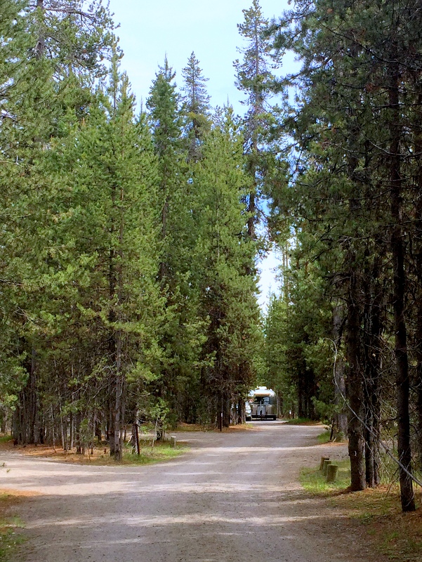 Lava Lake Campground, Oregon