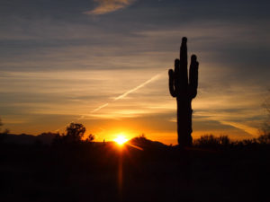 Arizona Sunset