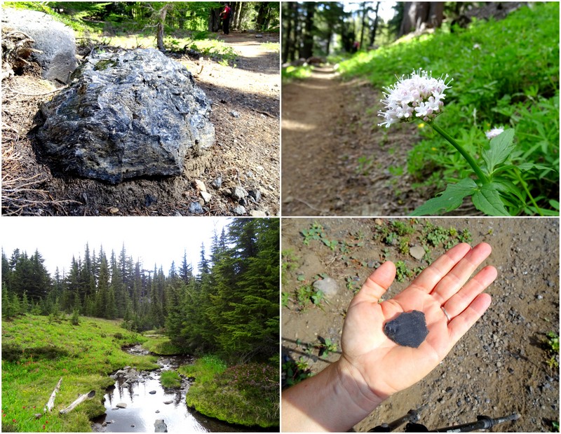 Obsidian Trail, Oregon