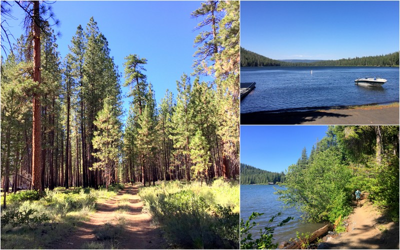 Suttle Lake, OR