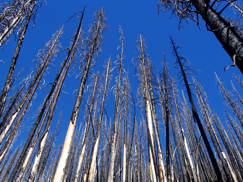 Matthieu Lakes Trail