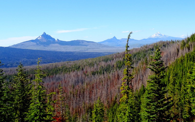 Cascade Mountain Range