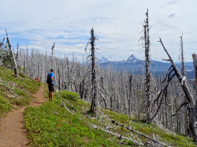 Three Fingered Jack Hike