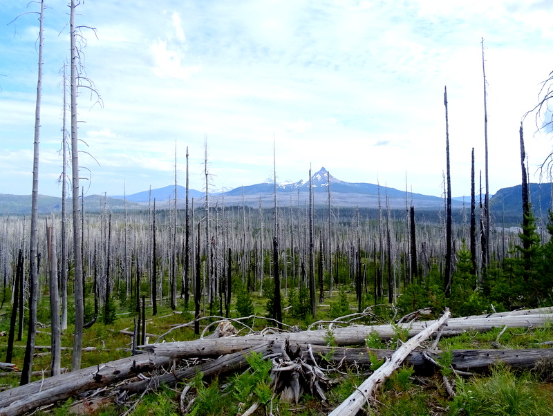 Three Fingered Jack Hike