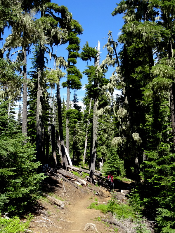 Obsidian Trail, Oregon