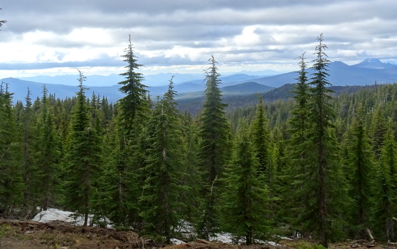 Obsidian Trail, Oregon