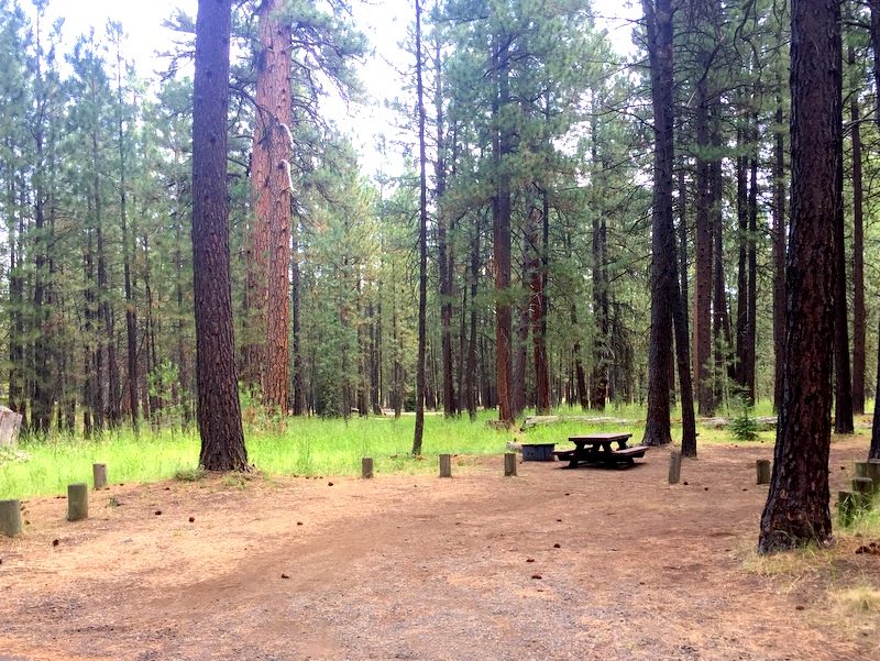 Cold Spring Campground, OR