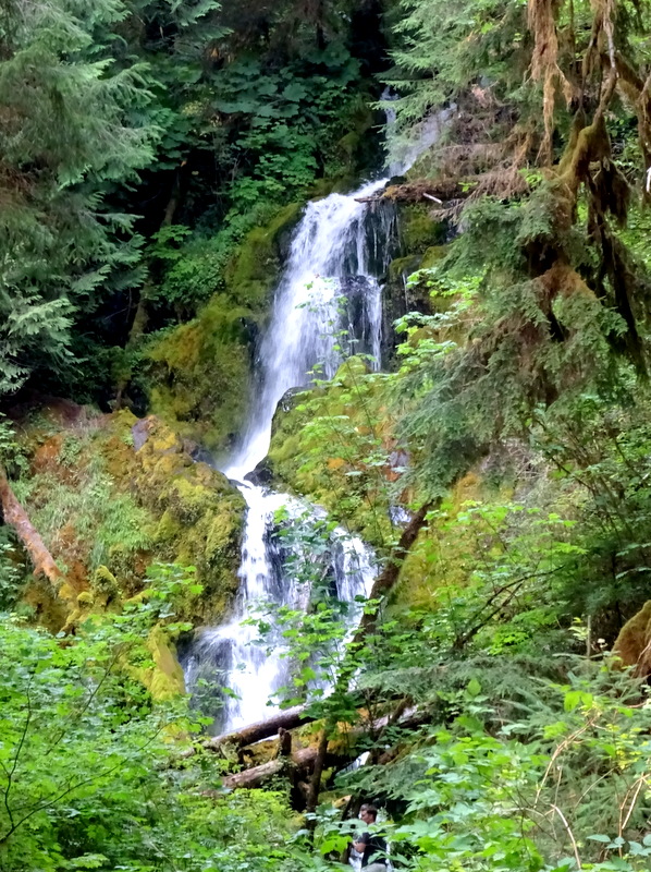 Hoh River Trail - Olympic National Park