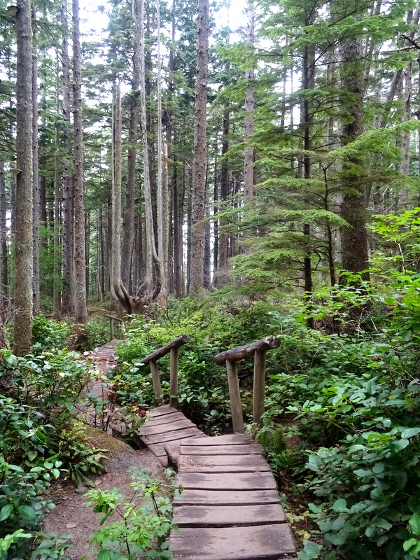 The Trail to Cape Flattery